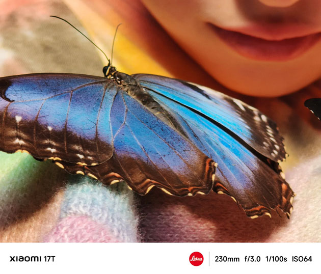A macro photo captured by the Xiaomi 17T's camera, showing a large butterfly that's got vibrant blue and brown wings.